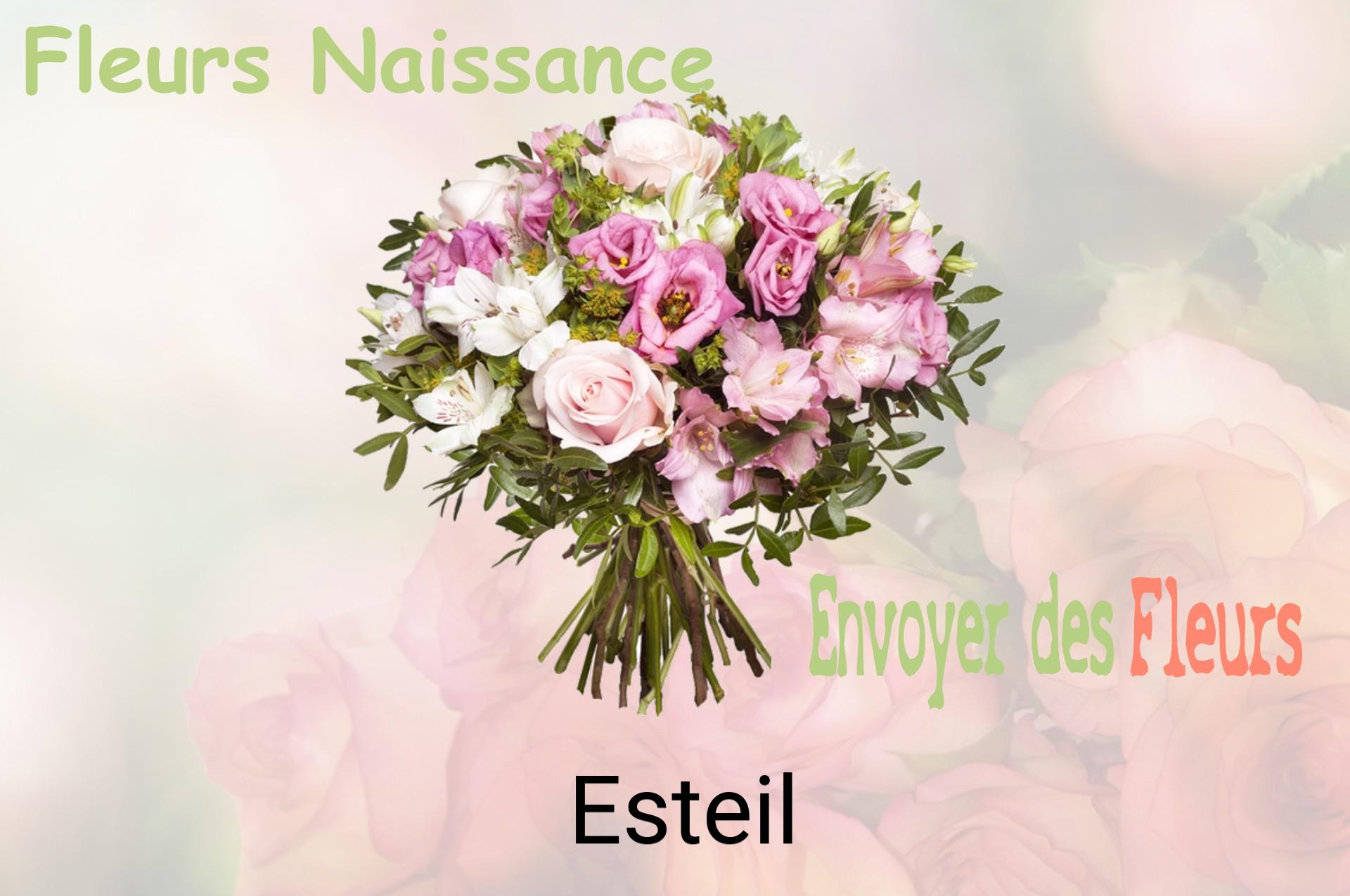 Bouquet de fleurs de naissance livré à Esteil