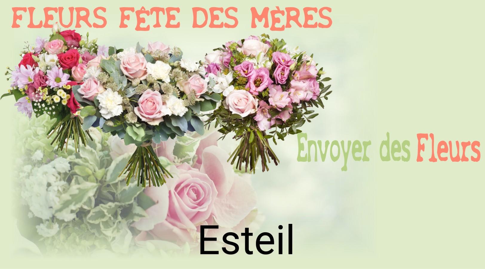 Bouquet de Fête des Mères livré à Esteil